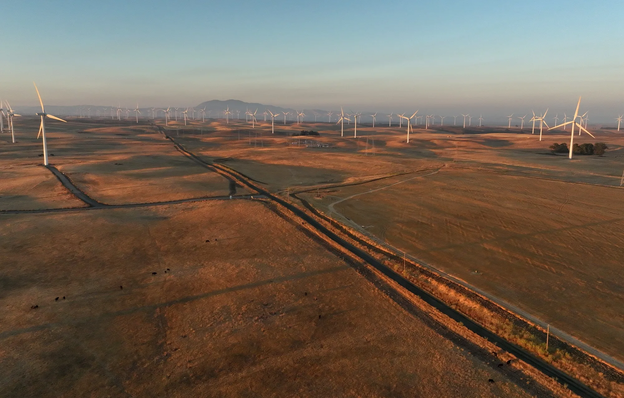 To date, the Delaware-based company has spent about $800 million to purchase at least 52,000 acres of agricultural land, becoming the area’s biggest landowner.