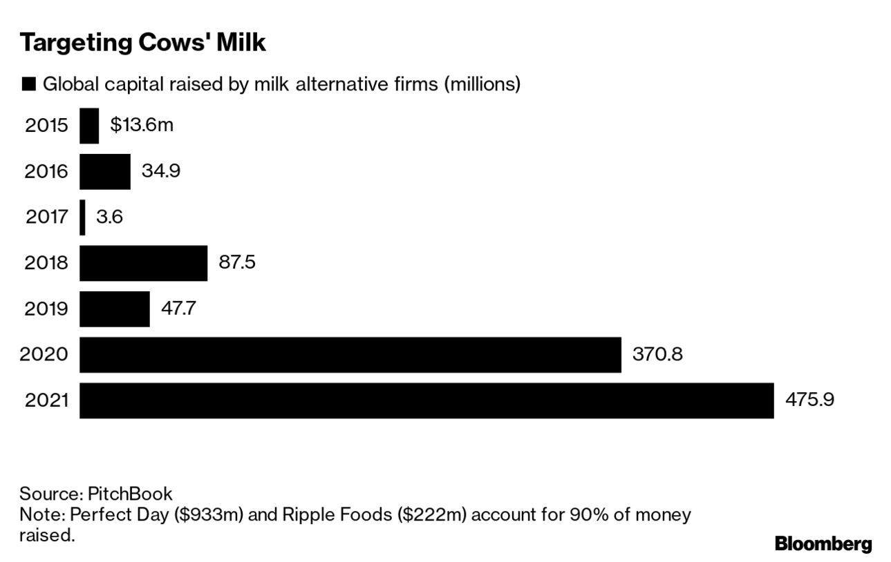 Ripple Foods Builds on Success of Ripple Kids Plant-Based Milk