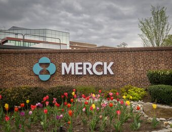 relates to Merck Raises Forecast as Sales of Cancer Immune Therapy Soar