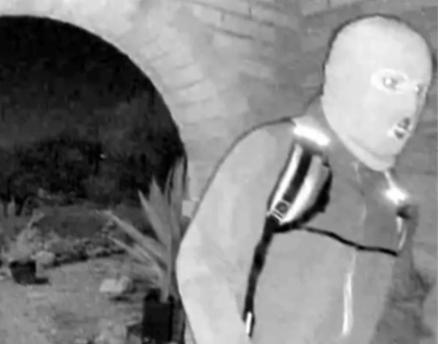 FBI Director Kash Patel posted images on X of the possible suspect tied to the disappearance of Nancy Guthrie.