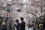 Pedestrians cross a road under cherry trees in bloom in Tokyo's business district, Japan.