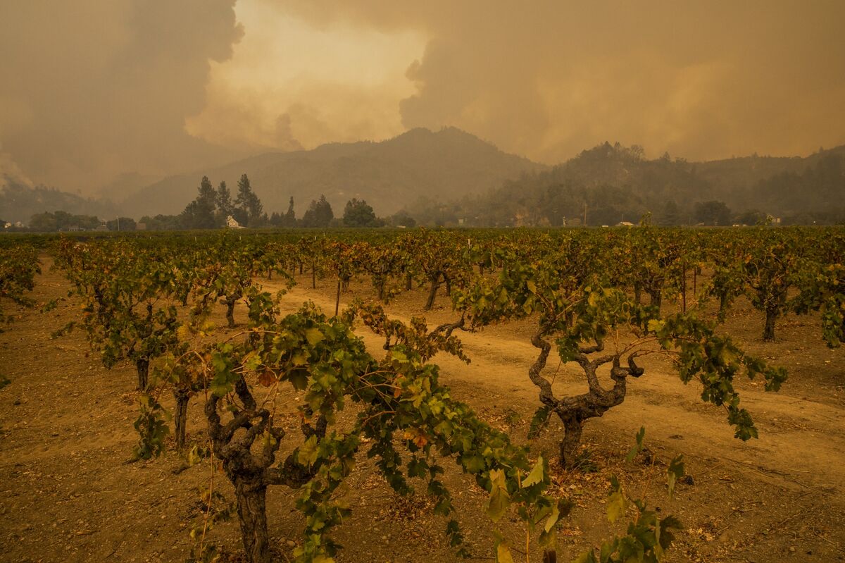Fires Erupt in California Wine Country, Fueled By Hot, Dry Winds