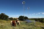 Horses graze near a Diffuse Energy Hyland 920 wind turbine system at a farm in the&nbsp;Melville suburb of Newcastle, Australia, on March 25, 2021.