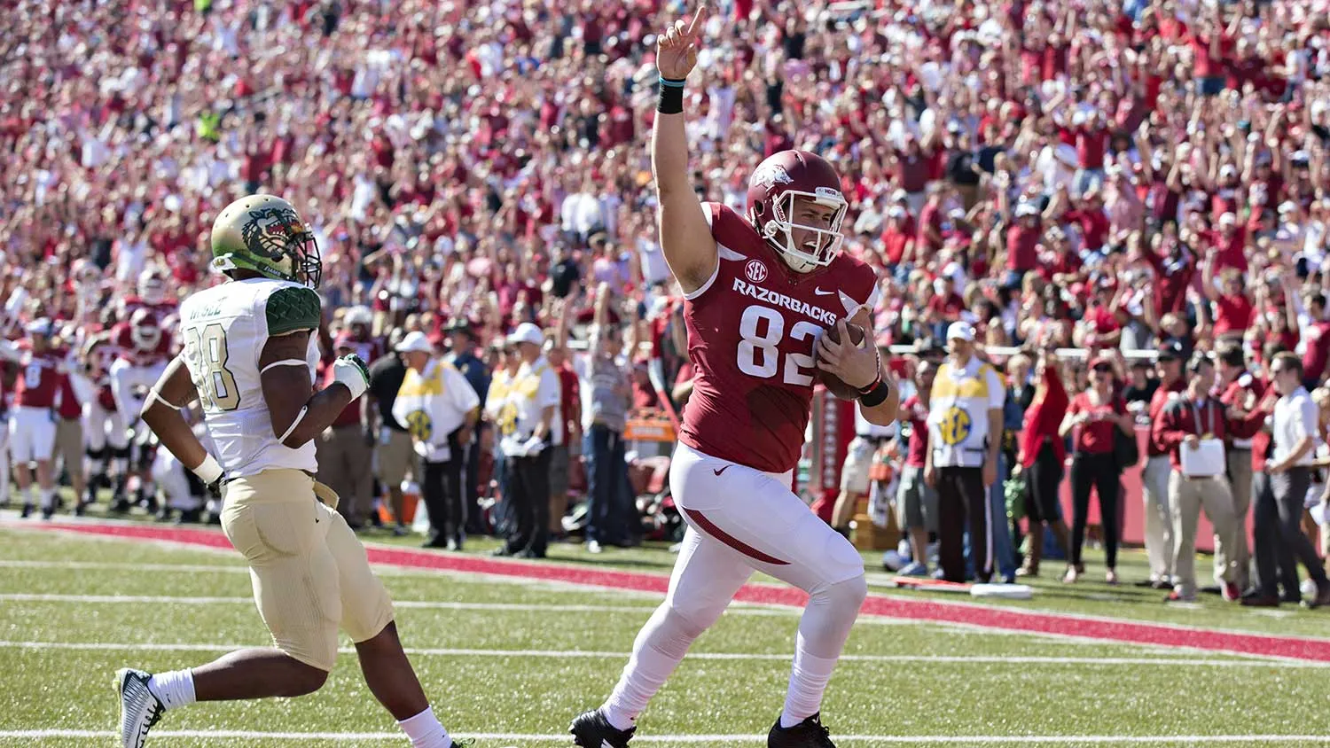 Luke Rossi #82 of the Arkansas Razorbacks catches a pass for a touchdown against the UAB Blazers at Razorback Stadium on October 25, 2014 in Fayetteville, Arkansas.
