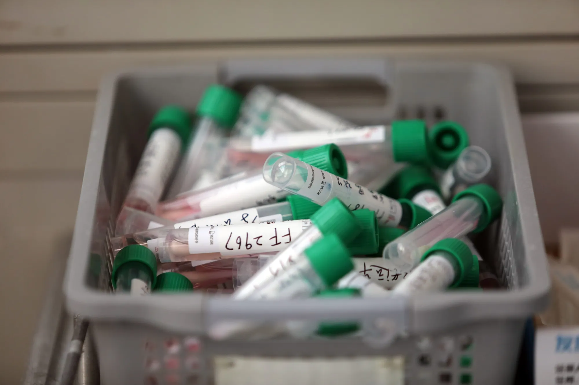 Swab samples to be tested for coronavirus at a hospital in Wuhan, March 14.