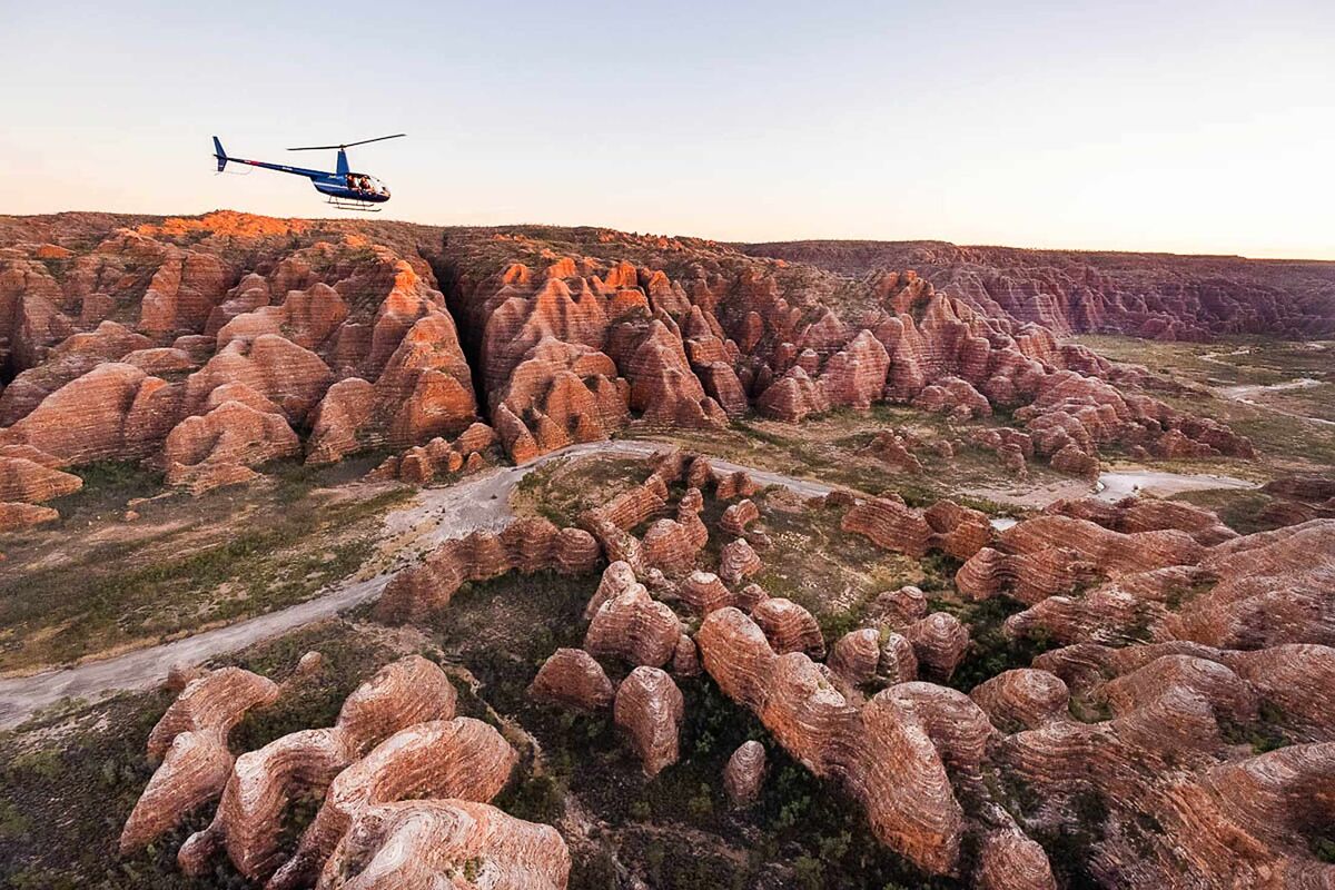 Booming fly population making life difficult on outback stations