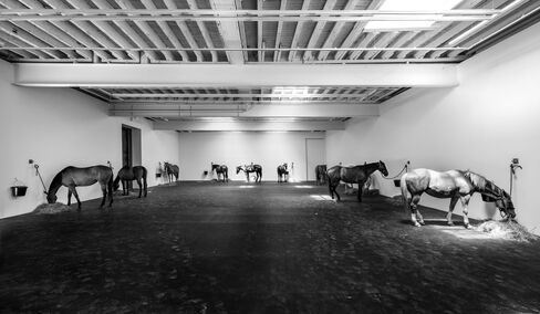 Untitled (12 Horses) on view at Gavin Brown's Enterprise in NYC. The horses leave daily at 6 p.m.