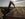 Ukrainian Wheat Harvest as Russia Threatens Global Food Supplies