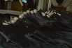 0803_HIUT_LEDE 
