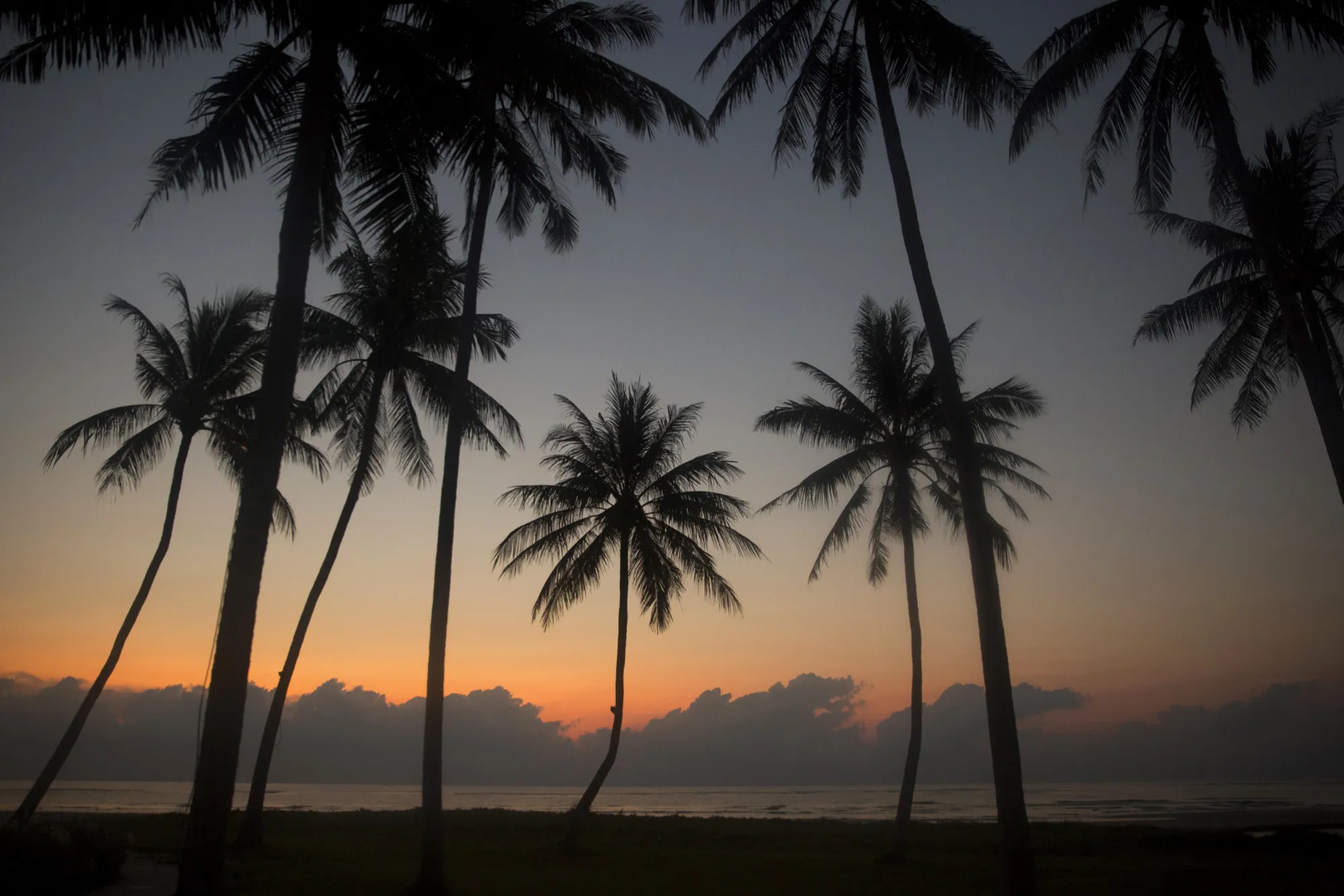 Tourist Economy as Thai Junta Chief May Rally Allies to Keep Power