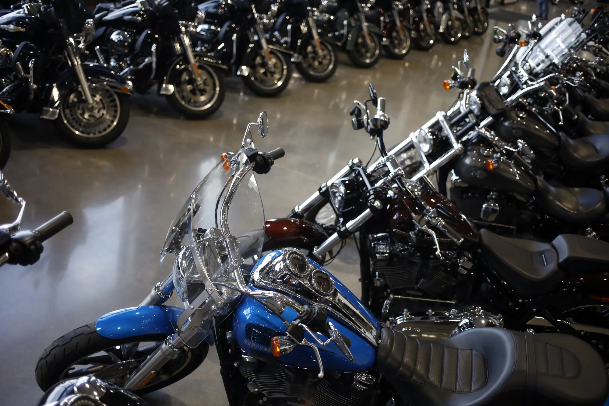 Motorcycles at a Harley-Davidson dealership.