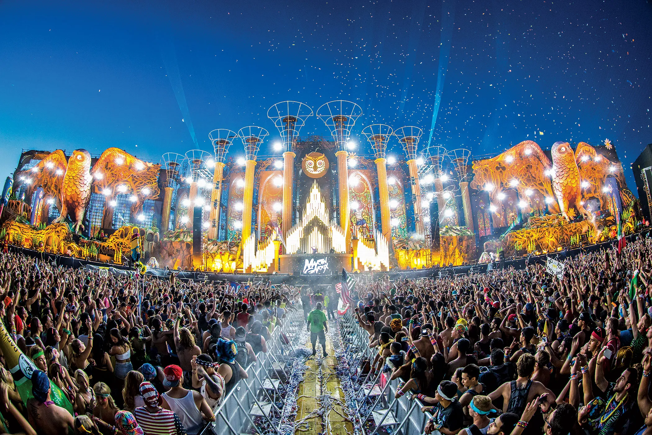2014 Electric Daisy Carnival
