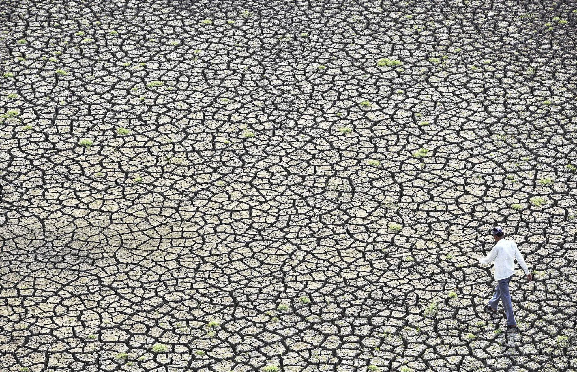 Dried and cracked area of the Manjara Dam Project in Latur, India.
