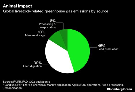 Cows Join Carbon Market in Quest to Curb Planet-Warming Burps