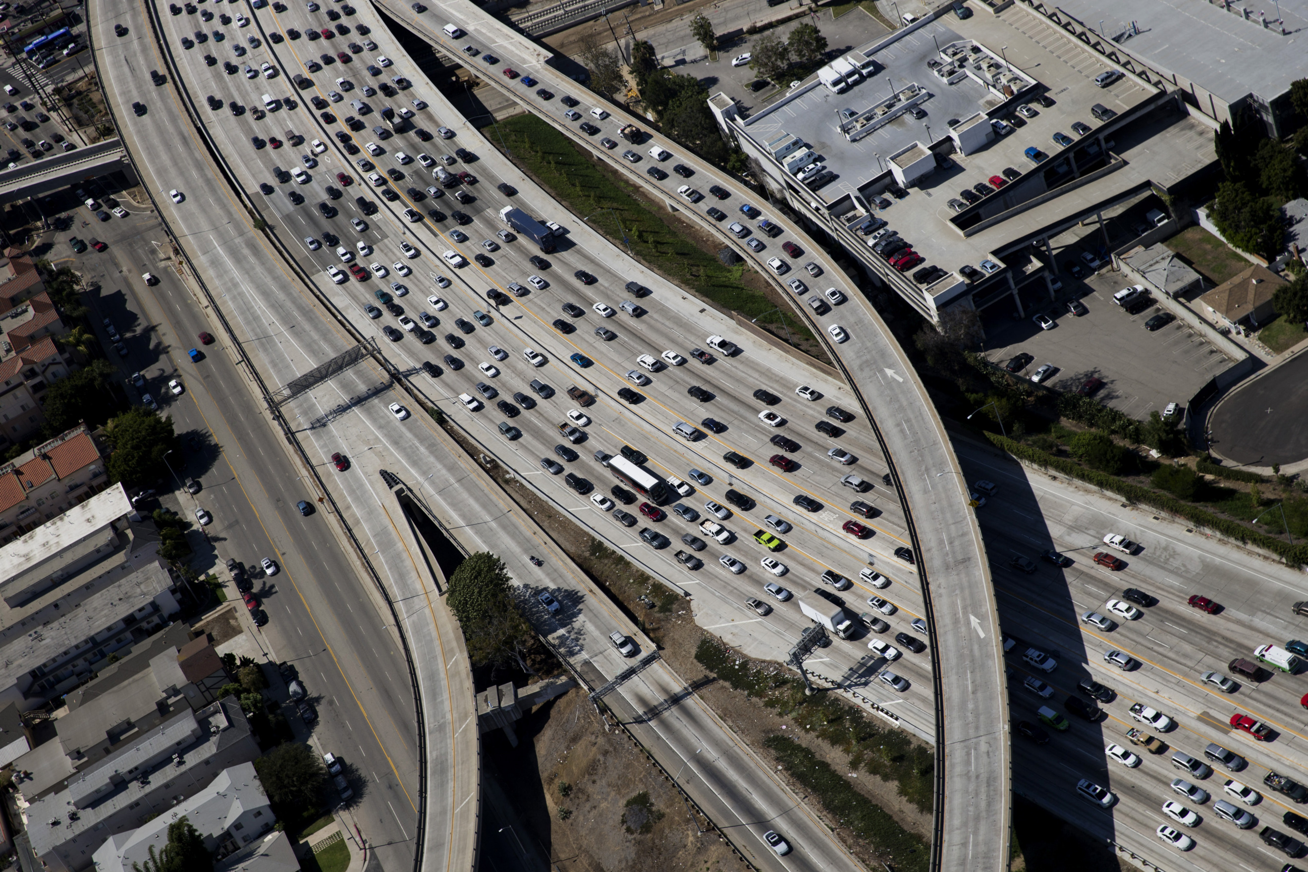 The Jaguar Freeway, Science