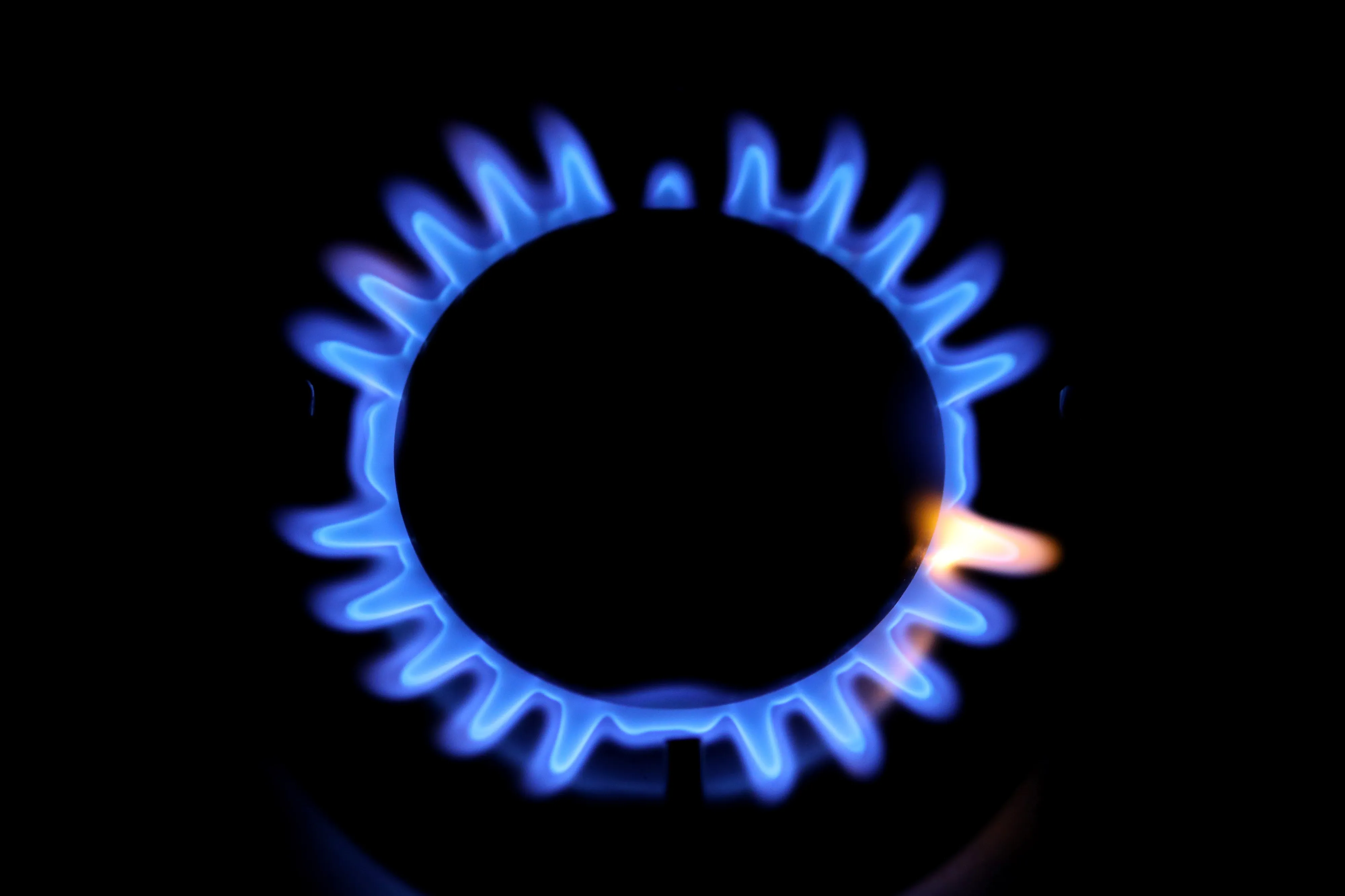 Natural gas burns on a domestic kitchen stove.