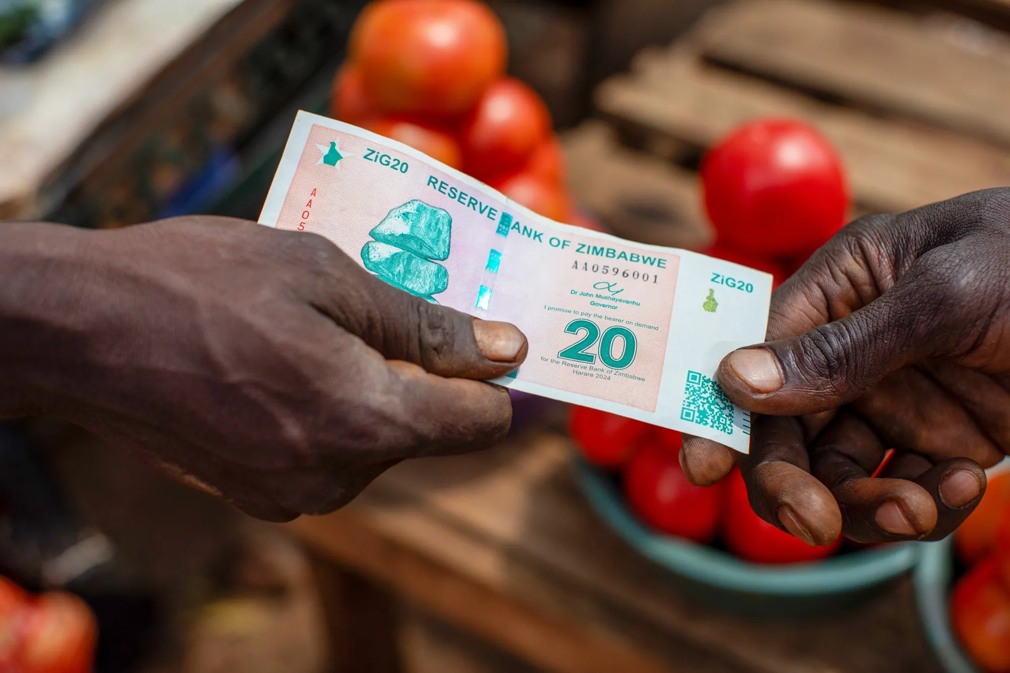 USD: ZWG) Zimbabwe Collects $215 Million to Support ZiG