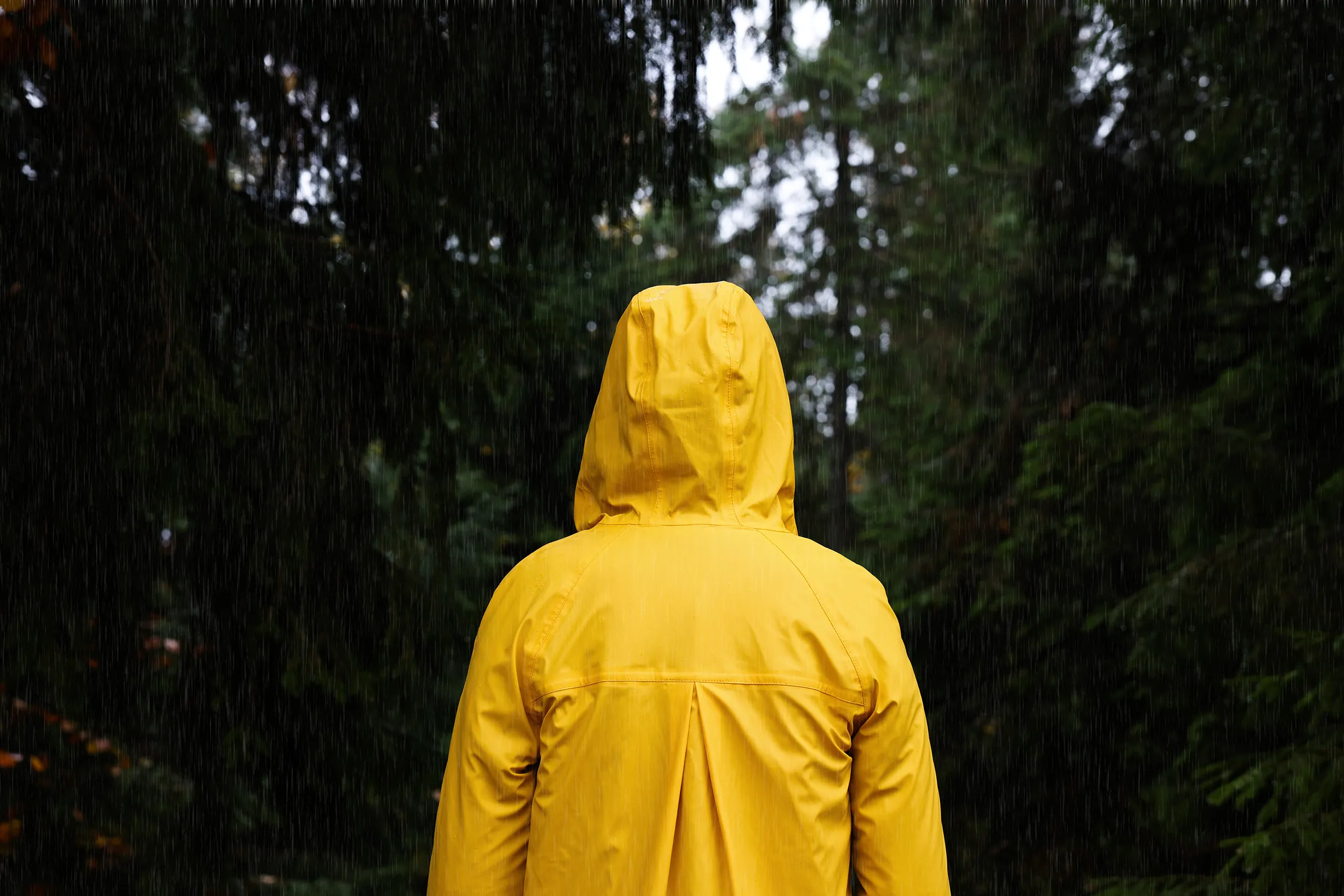 Raincoats will be under the microscope&nbsp;in California and New York in 2025 as both states will enforce laws on clothes that could contain forever chemicals.&nbsp;