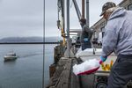 Water2Table owner Joe Conte, who is surviving the pandemic by selling to the public instead of restaurants, looks for his next delivery of fresh fish in San Francisco.
