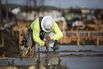 Building At A Toll Brothers Development As Housing Starts Rise Overall in 2015