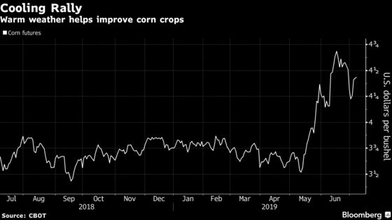Corn Finally Catches a Weather Break in the U.S.