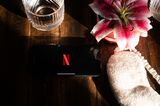 Netflix Illustrations As Streaming Service Hits Record