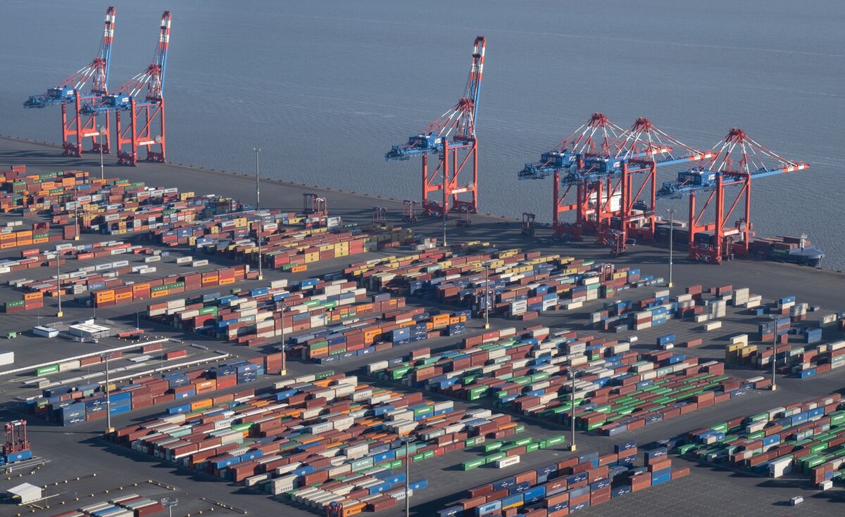 Germany Seizes €500 Million Cocaine Shipment Disguised as Cocoa