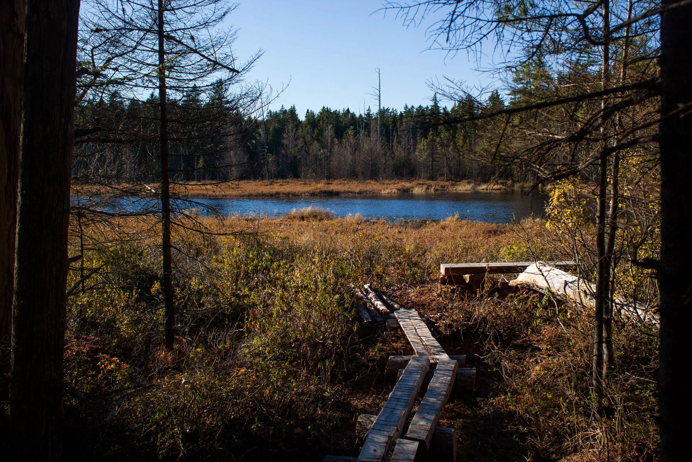 A log footbridge leads to a pond near the town of Patten in Maine’s northern woods.