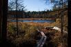 Buying 87,000 Acres of Land Was Easy. Giving It Away Was a Lot Harder