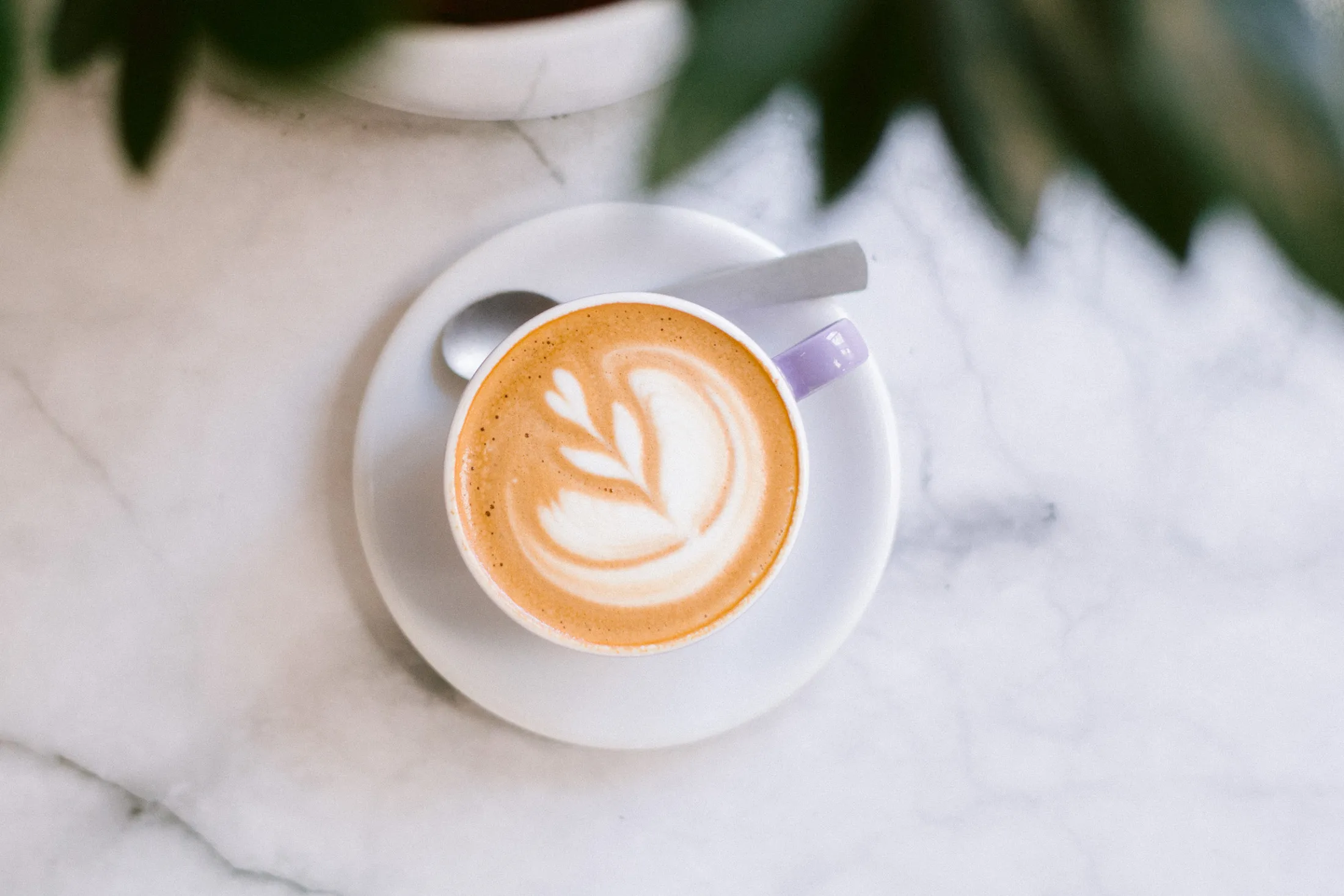 At Hatch in Ontario, Canada, koji coffee is on the menu.