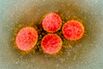 Colorado Finds First Case of U.K. Covid Variant, Governor Says