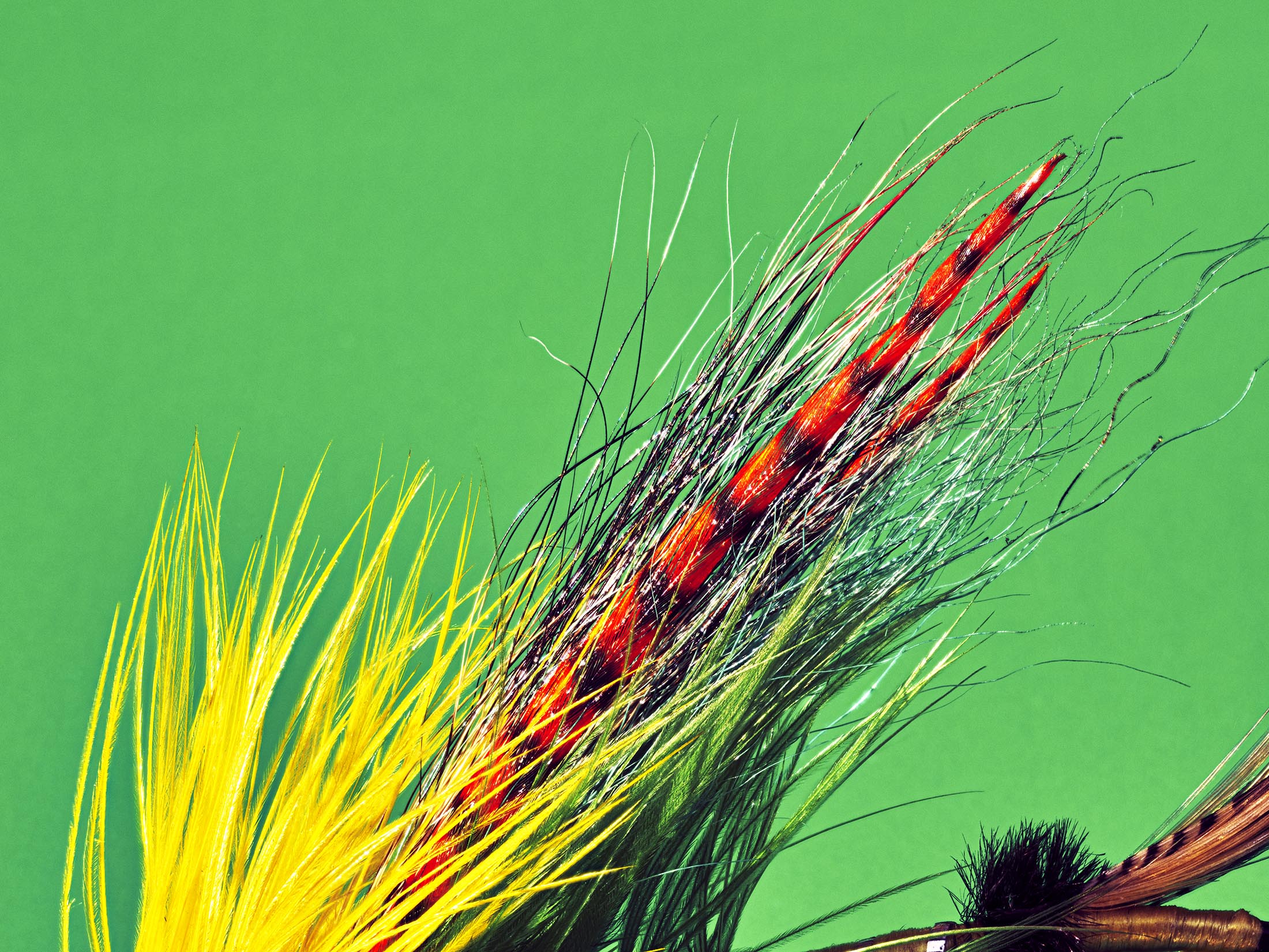 Tying Fishing Flies With Henry Hoffman, Grizzly Hackle Feathers