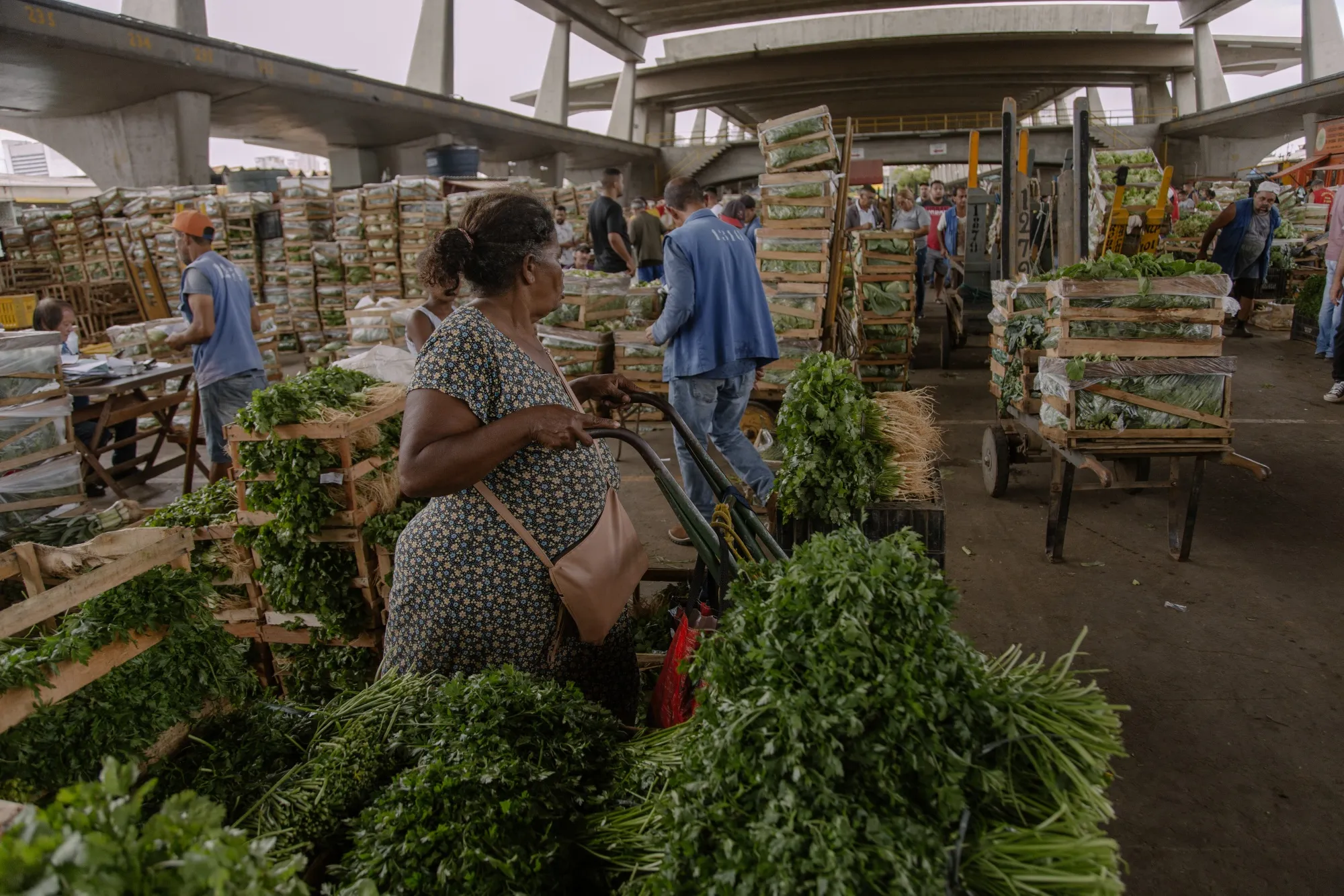 A shopper pushes a cart through the CEAGESP&nbsp;produce wholesale warehouse in Sao Paulo, Brazil.