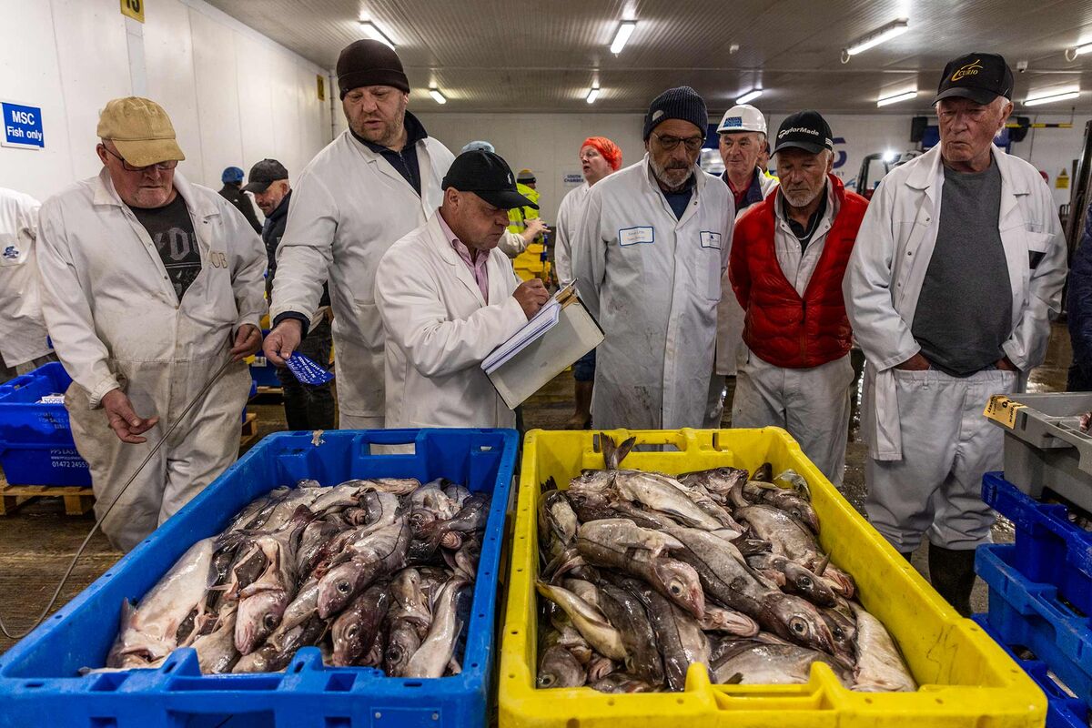 World Economy Latest: A Fading UK Fishing Town Reconsiders Brexit ...