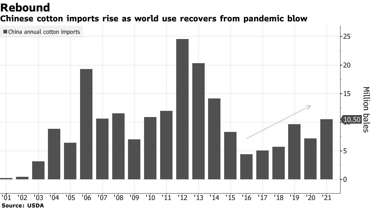 Les importations chinoises de coton augmentent alors que l'utilisation mondiale se remet du coup de la pandémie