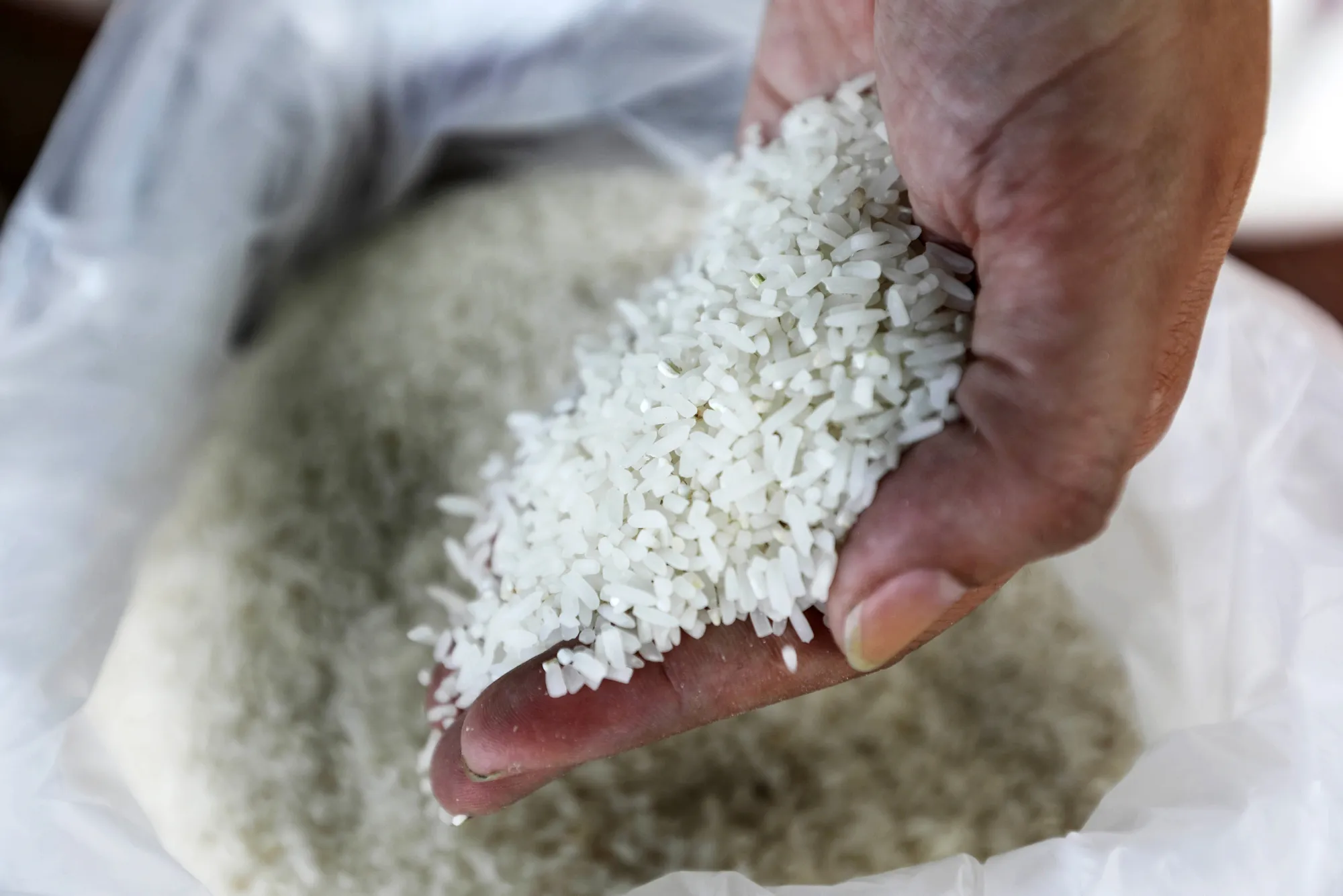 Rice Farmers Sell Crop At PTT Pcl Gas Stations In Nation Awash with Grain