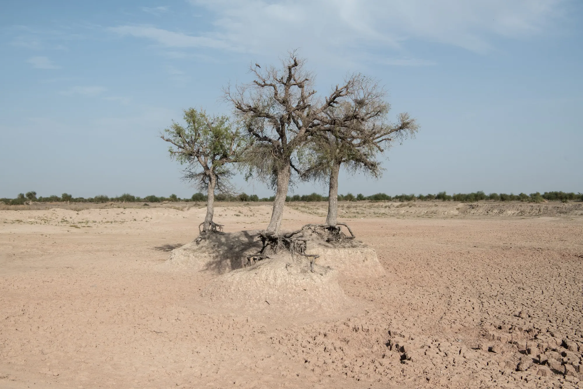 The dry bed of a rain-fed pond used as a local water supply in Joliyali, India on April 1.