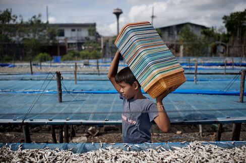 At this fishery in Phuket, Thailand, many Burmese labourers work in slave like conditions; many of the workers are illegal immigrants including younger workers from 9 years of age.