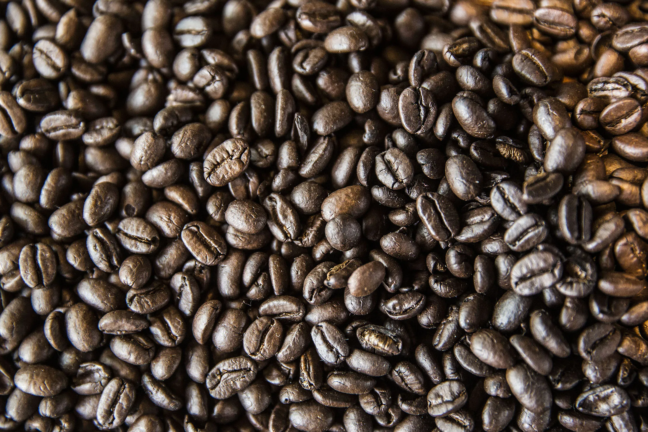 Coffee beans are displayed at a Starbucks Corp. coffee shop in Phnom Penh, Cambodia on Monday, Oct. 24, 2016. The Seattle-based coffee chain is expanding in Cambodia to tap the nation's rapid GDP growth. The share of the company's Asian revenue has roughly doubled in past two years to 15 percent.
