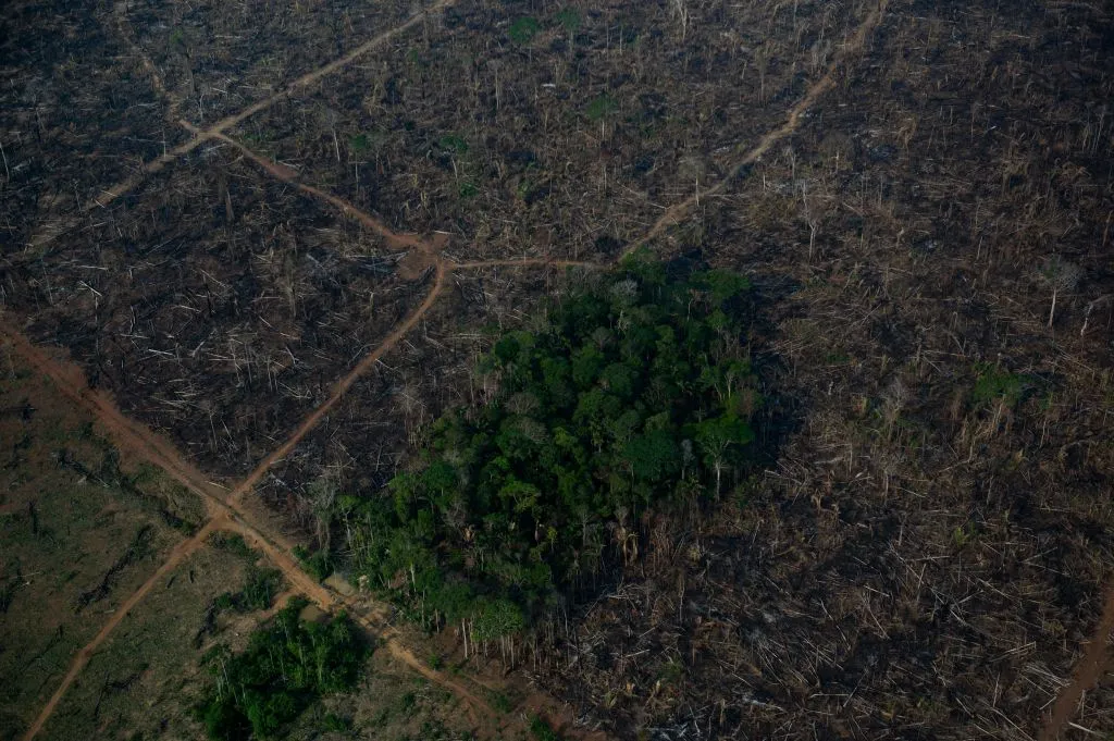 Aerial view showing a deforested area of rainforest in Labrea,&nbsp;Brazil, on Sept.&nbsp;15.&nbsp;