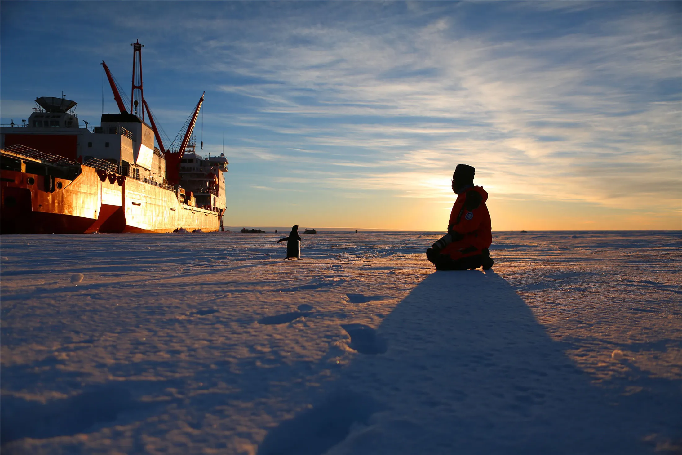A member of a Chinese scientific expedition team watches&nbsp;a penguin in&nbsp;Antarctica.&nbsp;