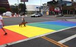 relates to The Gayest Crosswalk Ever