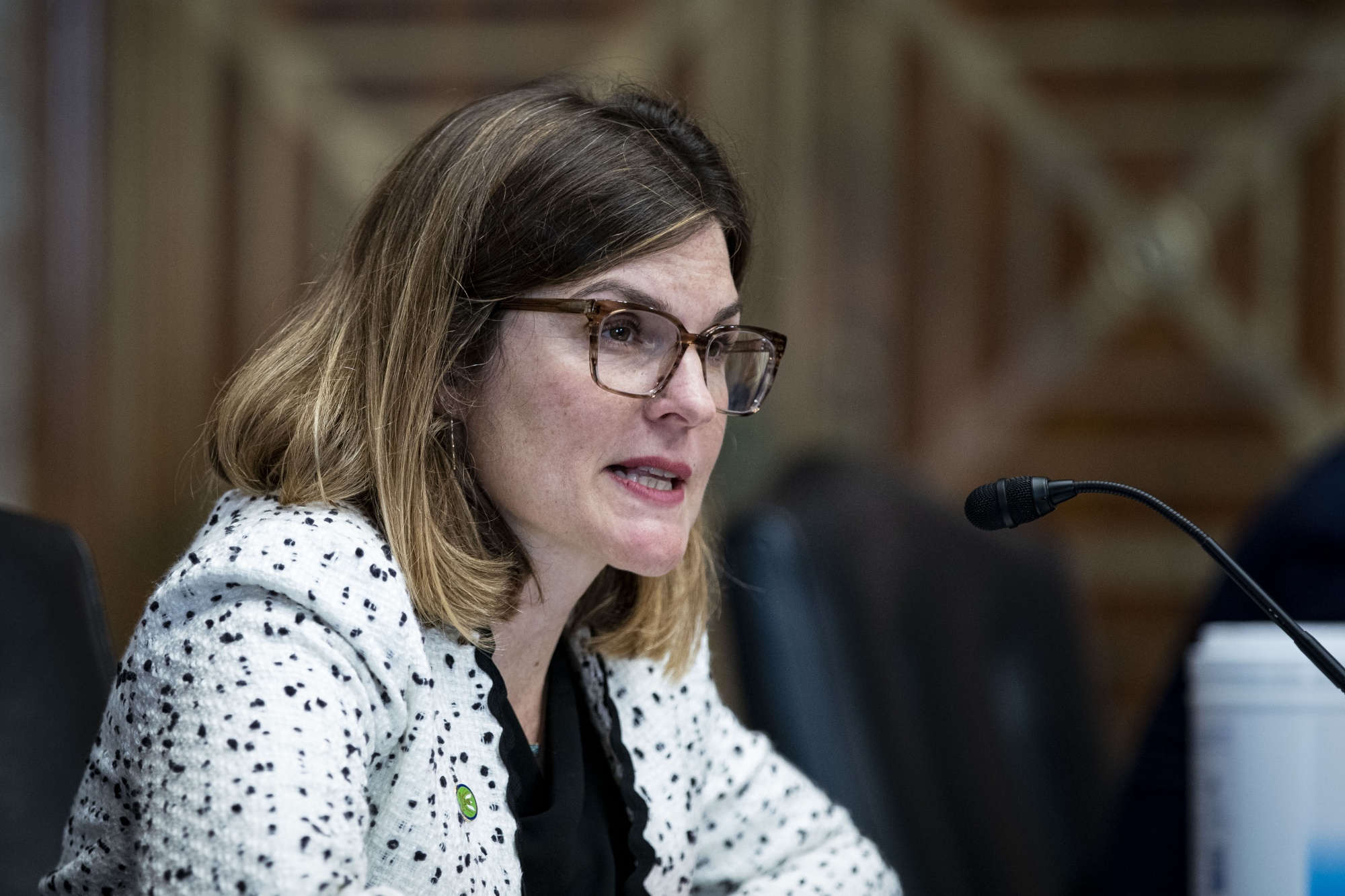 Allison Clements speaks during a Senate Energy and Natural Resources Committee hearing in 2021.