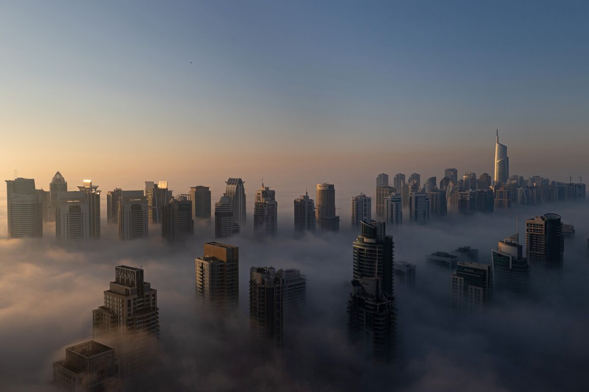 1200x800.jpg