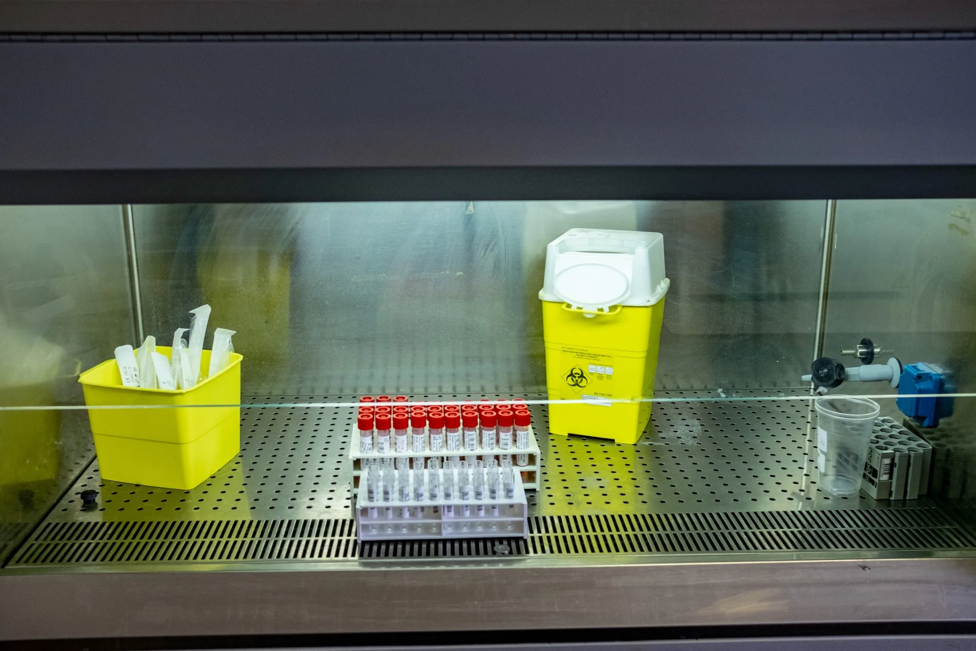 Coronavirus swab samples sit in a fume cabinet.
