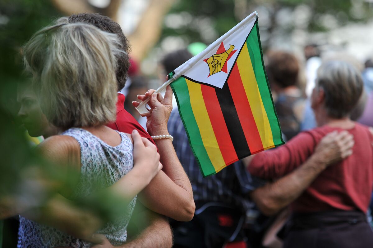 Zimbabwe Bids to Be Africa’s Carbon Credit Trading Center - Bloomberg