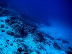 When researchers analyzed DNA sequences taken from sediment samples from around the world, they were astonished to find that nearly two-thirds were new to science.