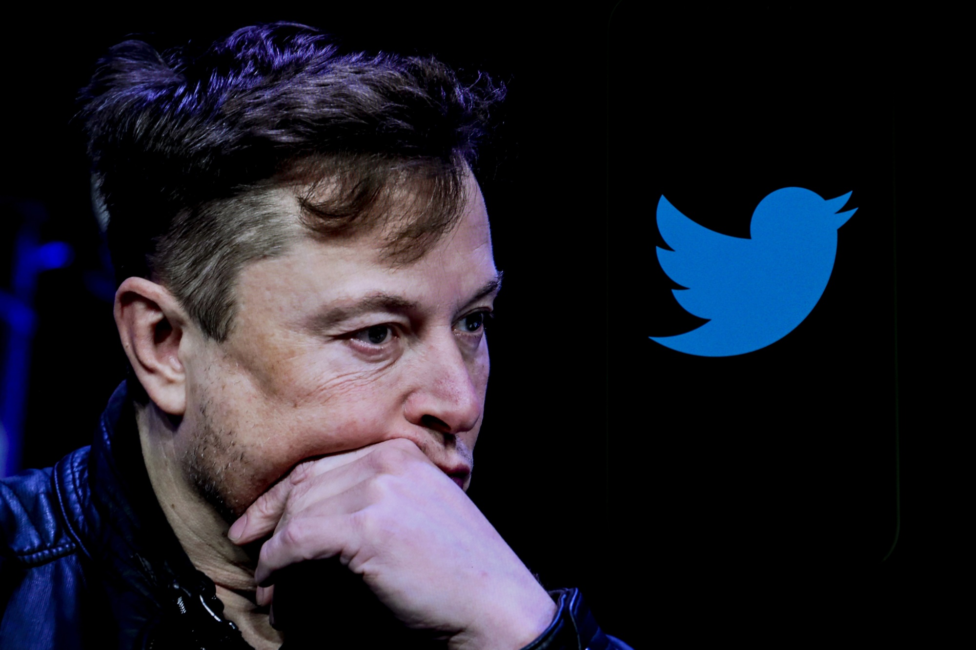 Elon Musk comments on accusations towards Hans Niemann