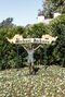 Inside Neverland Ranch -- NBC News' Matt Lauer gets an exclusive behind-the-scenes of Neverland Ranch, where Michael Jackson lived for 15 years, getting a rare look inside the private world of the King of Pop