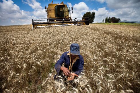 Food Inflation at Home May Have Peaked